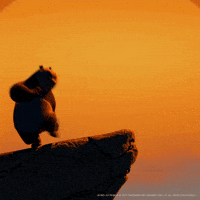 Excited Kung Fu GIF by DreamWorks Animation