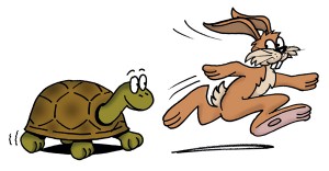 Hare-and-Tortoise-300x156.jpg