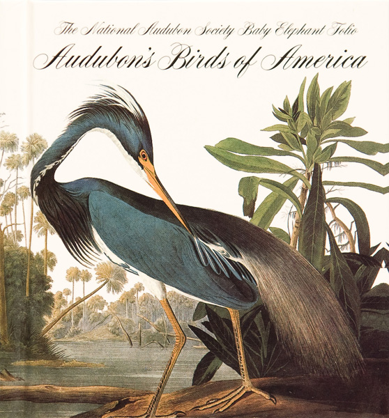 Audubon_Birds_of_America.jpg