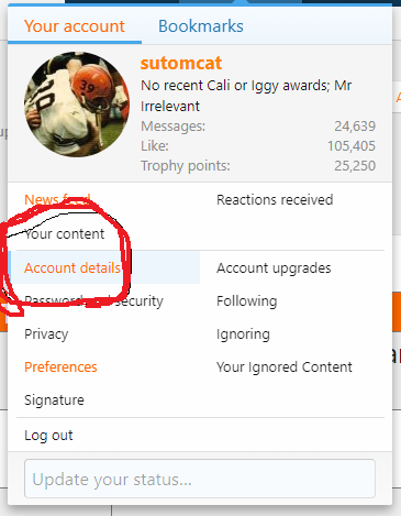 account details.png