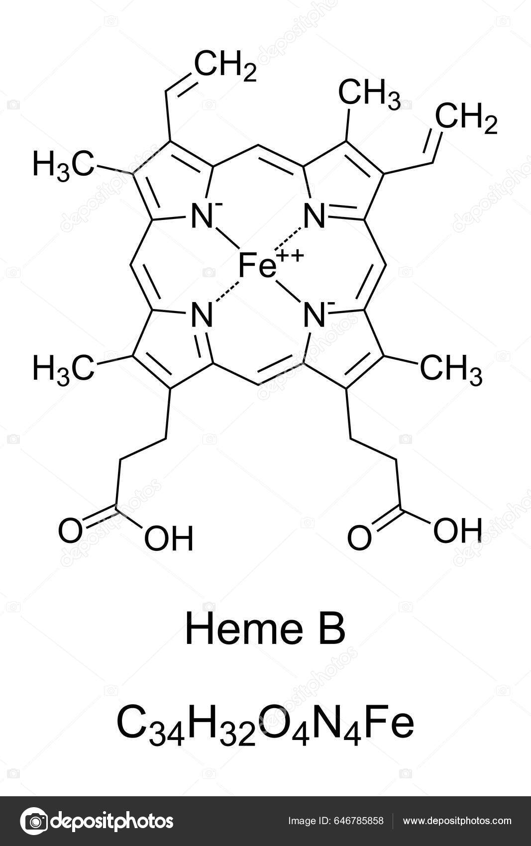 depositphotos_646785858-stock-illustration-heme-haem-protoheme-chemical-formula.jpg