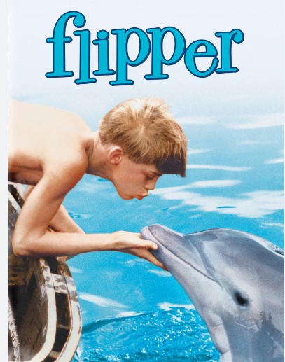 flipper.JPG