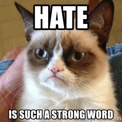 hate-is-such-a-strong-word.jpg