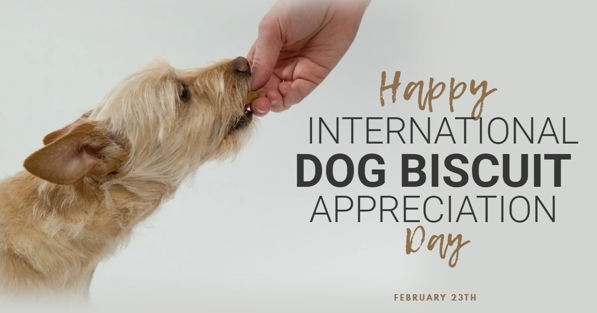 International Dog Biscuit Appreciation Day - Made with PosterMyWall.jpg