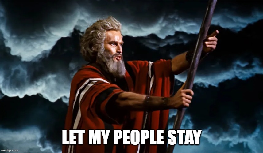 Moses3.jpg