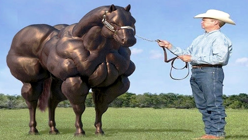 muscular horse.PNG