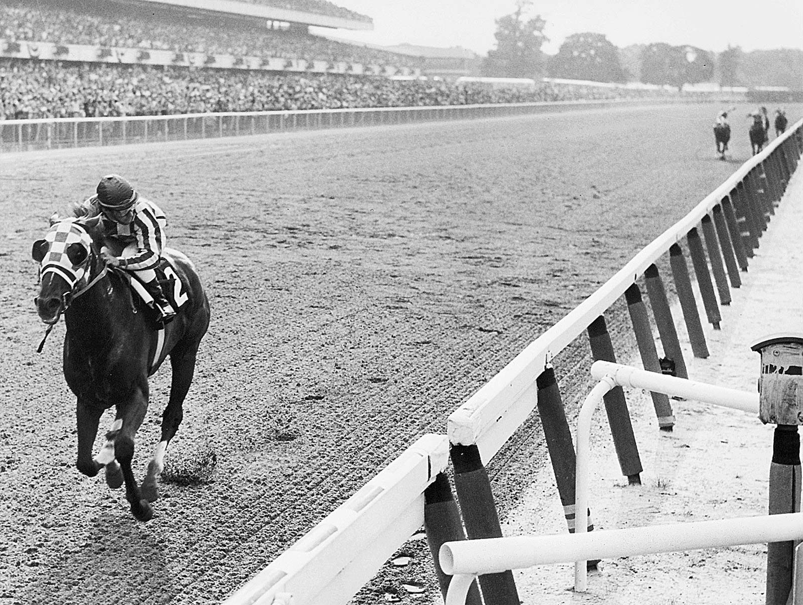 Secretariat-one-finishes-Ron-Turcotte-Thoroughbred-horse-1948.jpg