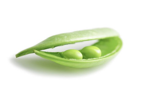 two-peas-in-a-pod.jpg