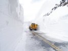 SNOW-1-jumbo.jpg