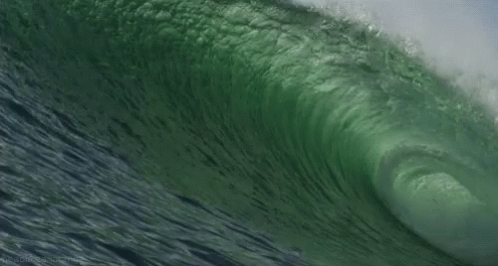 66E11A90-2D96-40B2-BFD1-C8B4F70318D2.gif