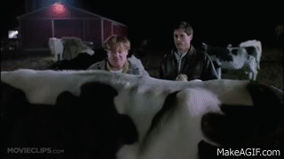 223C207C-96CF-4985-8EE5-C8D17F6366EC.gif