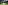1701779805811.jpeg