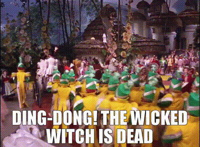 IMG_1085.gif