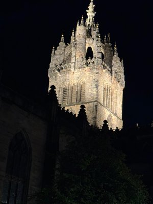 IMG_2390.jpeg