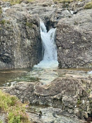 IMG_2341.jpeg