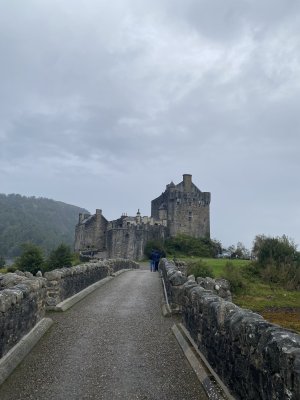 IMG_7849.jpeg