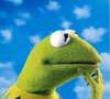 Kermit like hmmmm.jpg
