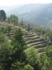 terraced-hillside-nagarkot-nepal+1152_13361008084-tpweb12w-3632.jpg