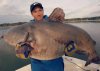 1224bluecatfish.jpg