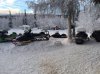image-2711362464.jpg