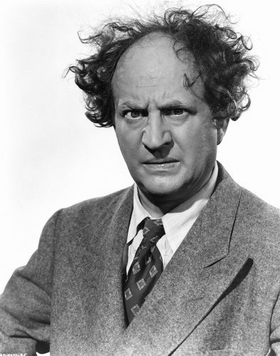 Larry-Fine-three-stooges-23436866-393-500.jpg