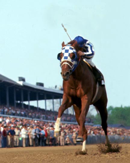 secretariat-racing1.jpg