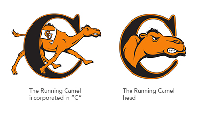 athletics-running-camel.jpg