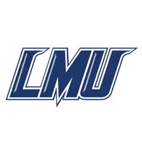 lmurailsplitters.com