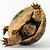 ncf_turtle_b1_50x50.jpg
