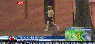Horse-Head-Runner-Hurricane-Sandy.gif