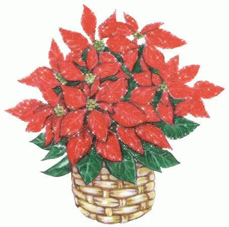poinsettia-happy-poinsettia-day.gif