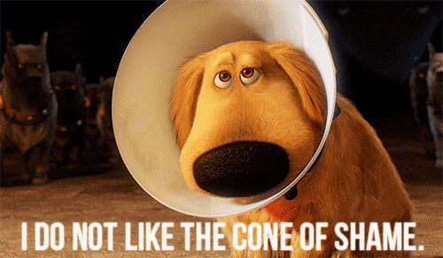 tumblr_lfa3vpZ9od1qe9dhgo1_500.gif