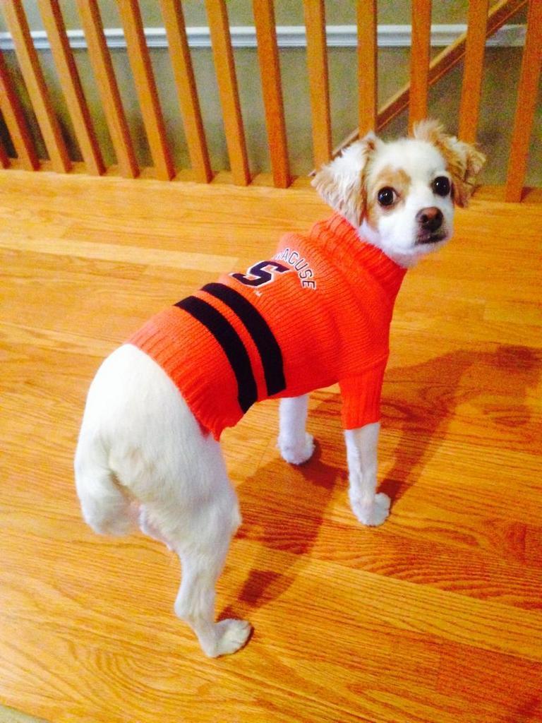 ByatVdCCIAAks8J.jpg:large