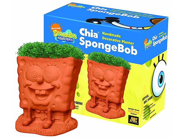 chia-spongebob-600x450.jpg