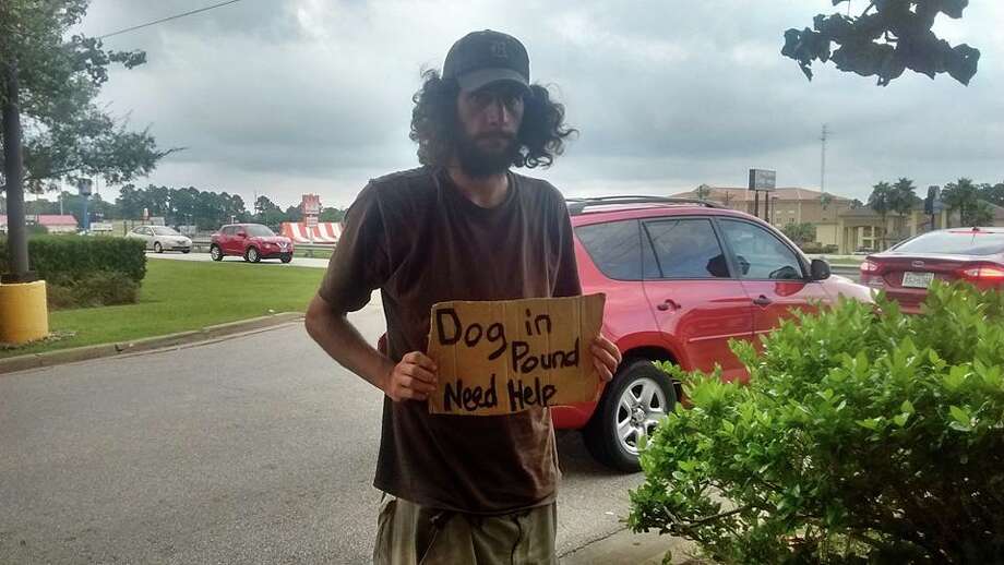 Image result for homeless pooch