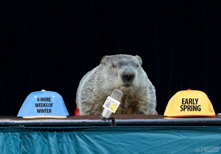 CaNsDFZWYAAzJk0.jpg:large