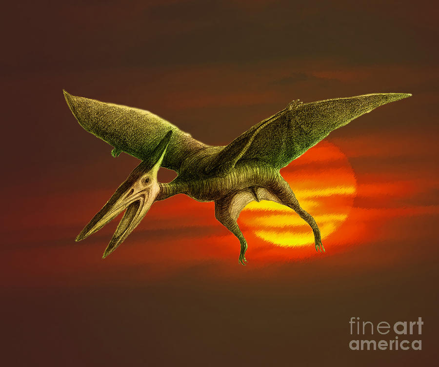 pterodactyl-spencer-sutton-and-photo-researchers.jpg