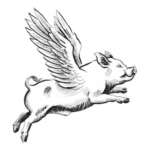 pigs-might-fly.jpg