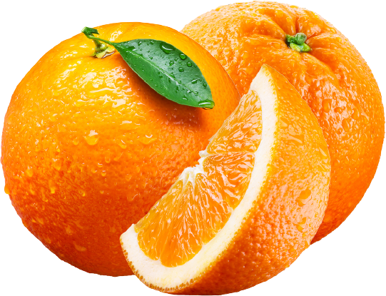 darling-oranges-1.png