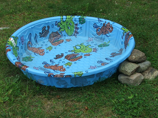 rock%20pile%20kiddy%20pool.JPG