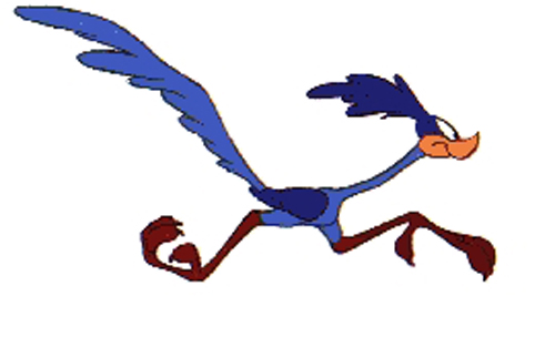 Roadrunner-cartoon.jpg