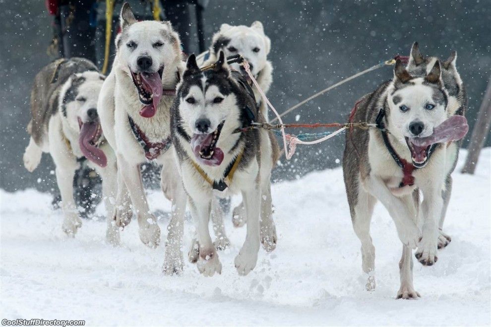 B8Ruwn5CEAAZpPA.jpg:large