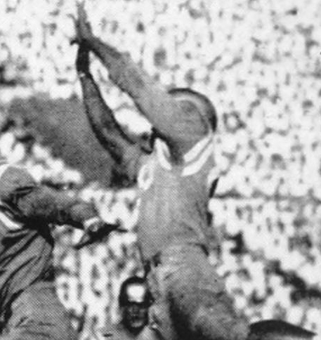 thesouthernbranch.wordpress.com