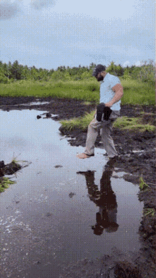 splash-puddle.gif
