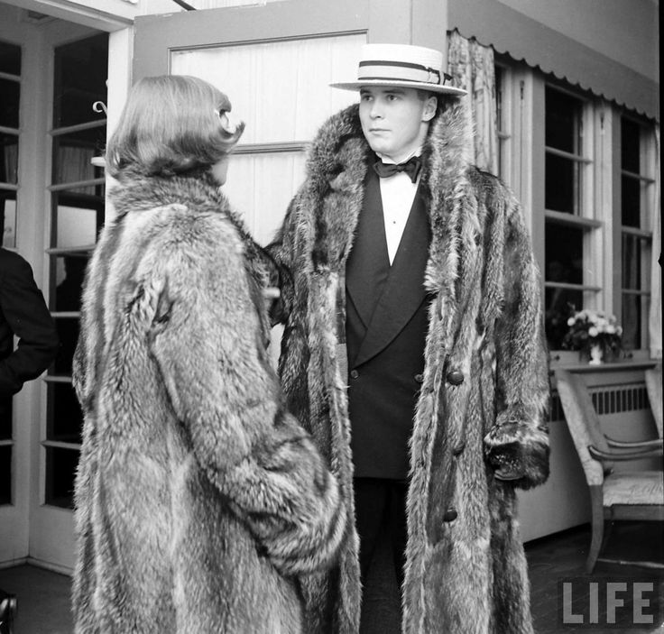 racooncoatrevival50s.jpg