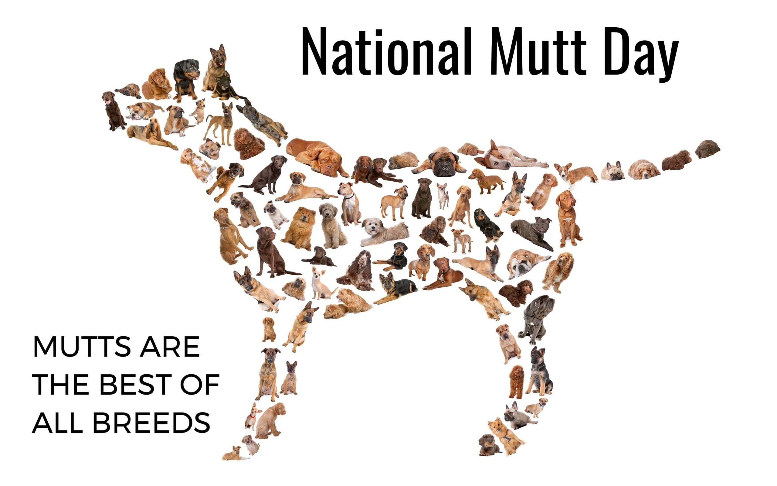 mutts.jpg