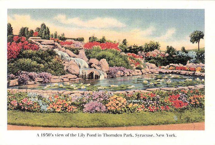 Thornden-Park.jpg