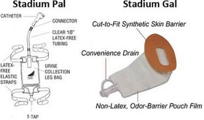 stadium-pal-gal3.jpg