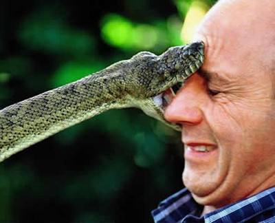 snake+bite+strange+bizarre+face+weird.jpg