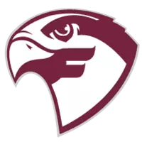 fightingfalcons.com